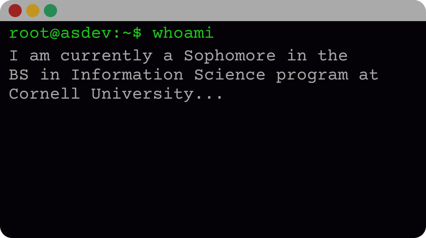 Artistic rendition of a linux terminal with text 'I am currently a rising Junior in the BS in Information Science program at Cornell University...'